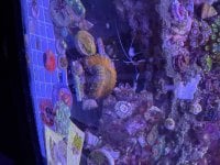 IMG_7417.jpeg
