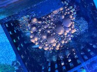 IMG_9170.jpeg