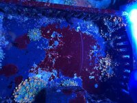 IMG_9182.jpeg