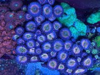 IMG_9179.jpeg