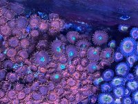 IMG_9178.jpeg