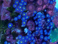IMG_9176.jpeg