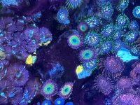 IMG_9173.jpeg