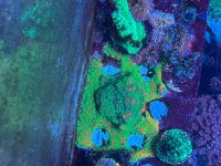 IMG_9172.jpeg
