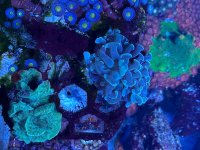 IMG_9177.jpeg