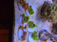 20250831_095103.jpg