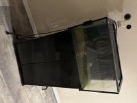 IMG_1920.jpeg