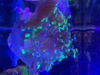 IMG_4611.jpeg