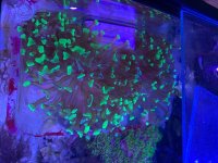 IMG_4608.jpeg