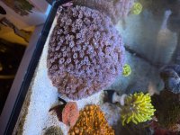 IMG_7406.jpeg