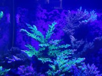 IMG_5660.jpeg