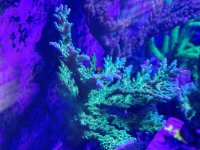 IMG_5661.jpeg