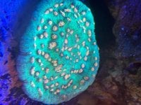 IMG_1429.jpeg