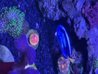IMG_1422.jpeg