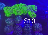 IMG_0444.jpeg