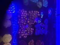 IMG_0440.jpeg