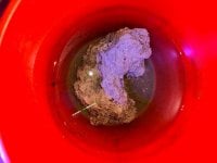 IMG_1474.jpeg