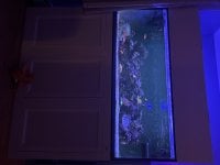 IMG_2289.jpeg