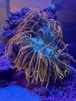 IMG_5916.jpeg