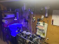 IMG_0743.jpeg IMG_0743.jpeg