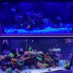 F25E7D6E-C8AB-42EC-AB34-F416ED8F8157.jpeg F25E7D6E-C8AB-42EC-AB34-F416ED8F8157.jpeg