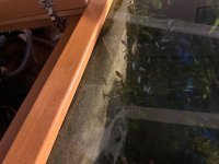 IMG_2422.jpeg