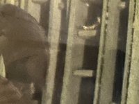 IMG_2419.jpeg