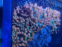 IMG_5998.jpeg