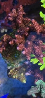 IMG_7574.jpeg