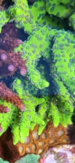 IMG_7575.jpeg