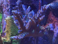 IMG_7565.jpeg