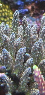 IMG_7561.jpeg