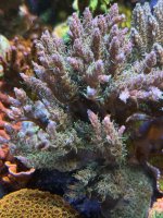 IMG_7540.jpeg