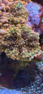 IMG_7536.jpeg