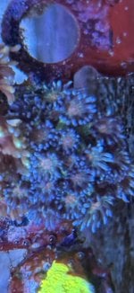 IMG_7550.jpeg