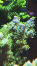 IMG_7556.jpeg