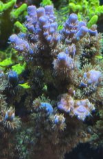 IMG_7555.jpeg