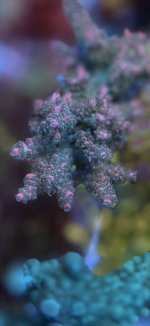 IMG_7525.jpeg