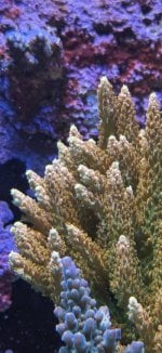 IMG_7549.jpeg