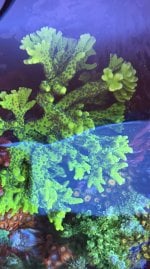 IMG_7502.jpeg