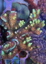 IMG_7511.jpeg
