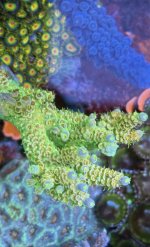 IMG_7510.jpeg