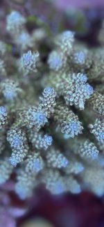 IMG_7519.jpeg