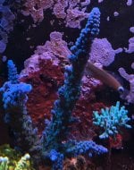IMG_7566.jpeg
