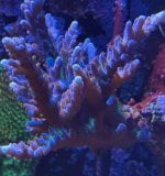 IMG_7564.jpeg