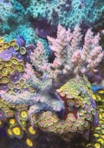 IMG_7562.jpeg