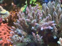 IMG_7559.jpeg