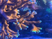 IMG_7547.jpeg