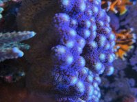 IMG_7548.jpeg