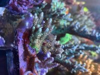 IMG_7544.jpeg